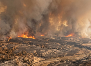 Caldo estremo, WWF: “L’Italia in ginocchio per la crisi climatica, governo e politica fanno finta di niente”